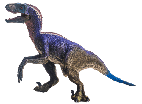 dinosaur , Velociraptor on white background . png