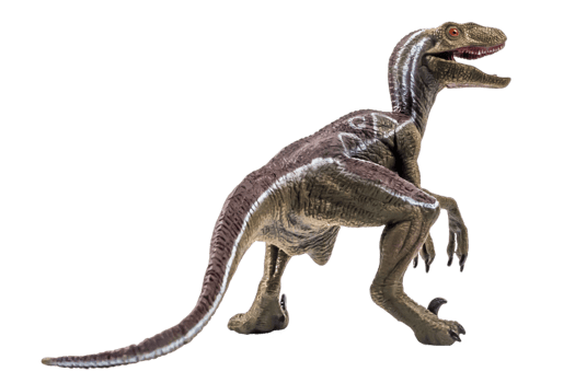 dinosaur , Velociraptor on white background . png