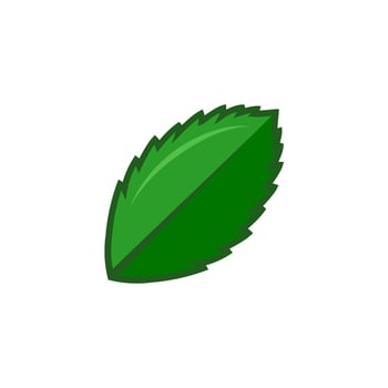green leaf vector illustration. eco nature symbol. hand drawn style