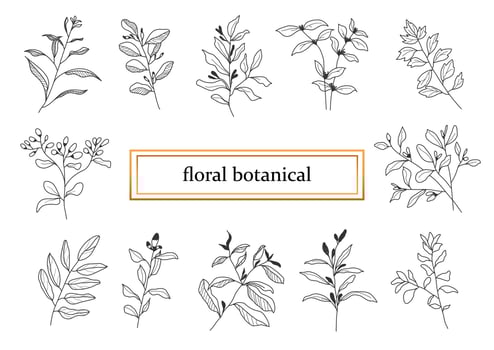 Hand drawn botanical set leaves and flowers for decoration. vector