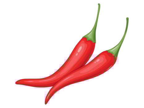 Red hot Chili pepper. Mexican traditional food. vector