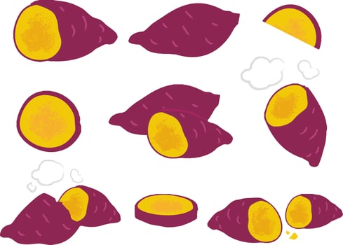 Vector colorful set of sweet potatoes isolated on white. Batata or yam with red skin, cartoon vegetables used for poster, website, brochure, tag