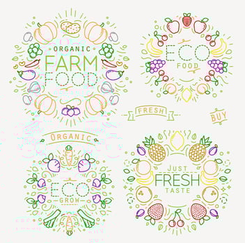 Set of flat fruits and vegetables monograms drawing with color lines on white background vector