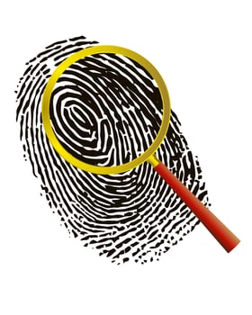 Fingerprint under a magnifier vector