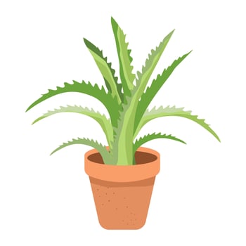Houses plant Alovera. vector