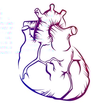 Cardiovascular vector image