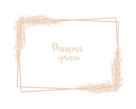 Soft rectangle frame with pampas grass. For design of wedding invitations and postcards. Vector illustration on a white background