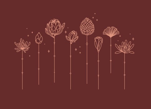 Flowers long stem drawing in art deco style on red background vector