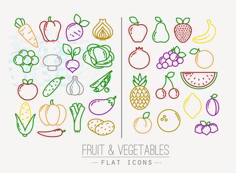 Set of flat fruits and vegetables icons drawing with color lines on white background vector