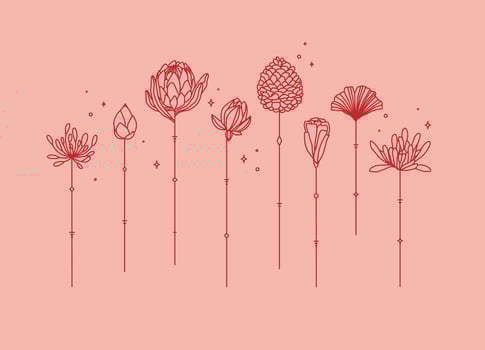 Flowers long stem drawing in art deco style on coral background vector