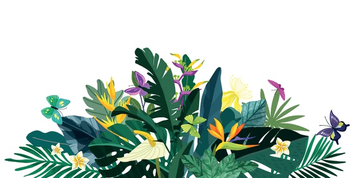 Tropical floral background, lush tropical foliage and flowers vector