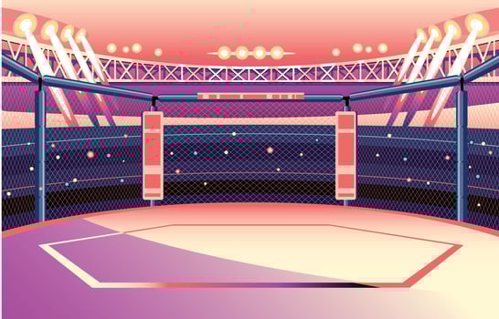 MMA or Martial Art Fighting Stage Side View vector