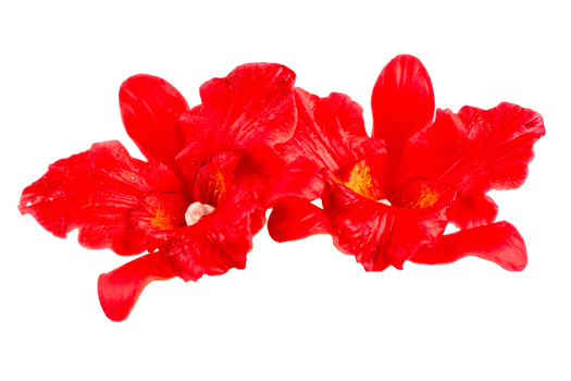 ORCHID Flower Plant in Pot Dollhouse Miniatures Garden isolate background png