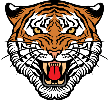 Tiger Face Illustration png