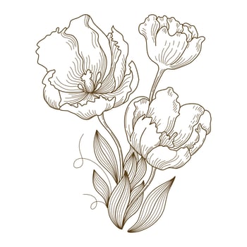 Vector floral line art illustration designed in brown tone doodle style on white background for decorating cards, wedding cards, scrapbooks, covers, clothing patterns and more