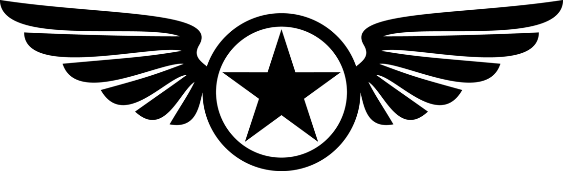 Star and Wings png