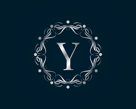 graceful letter Y vector
