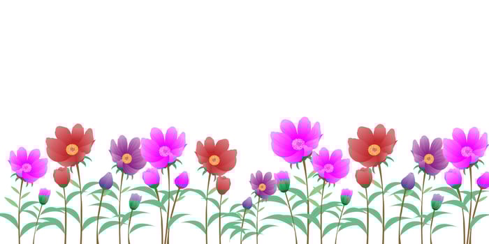 Illustration colorful of the flower isolated on white background. vector
