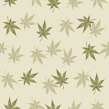Leaves cannabis engraved seamless pattern. Retro background botanical with leaf marijuana in hand drawn style. vector