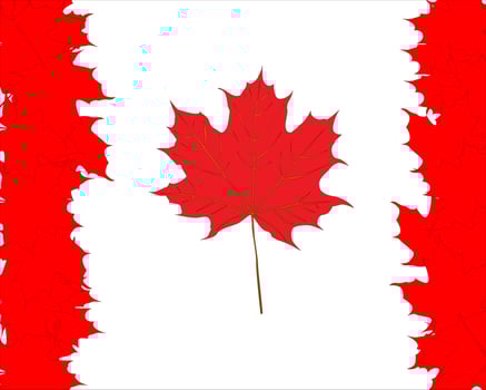 Symbol of Canada from maple leaves on a white background vector