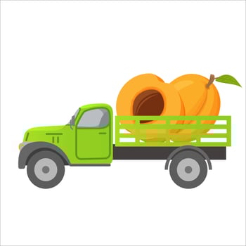 Food delivery truck apricot fruit harvesting.Car illustration vector.Ripe apricot fruits.Isolated on a white background. vector