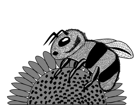 Bee on flower monochrome illustration vector