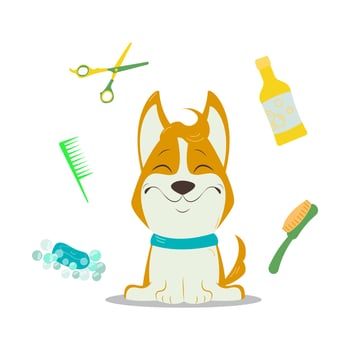 Dog grooming with corgi and grooming equipment. vector