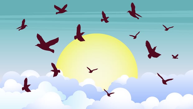 Flock of birds flying in the sky with clouds and sun. Vector illustration.
