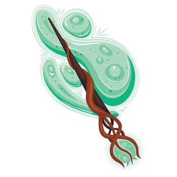 Wooden wand with green forest fairy branches, magic smoke, fairy dust and glow swirl vector