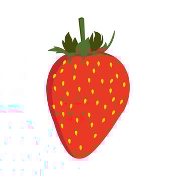 Stawberry red summer fruit, white background. Vector graphic illustration. Vegetarian cafe print, poster, card. Natural, organic dessert sweet, fresh berry