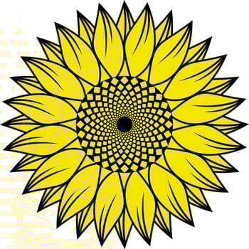 Simple Isolated Black and Yellow Vector Sunflower