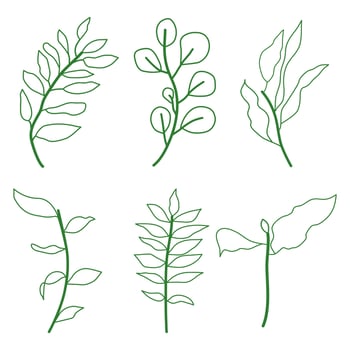 Green leafs doodle hand drawn style vector