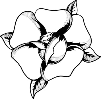 illustration in black and white vector