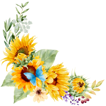 watercolor sunflower bouquet png