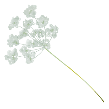 Natural flower watercolor png