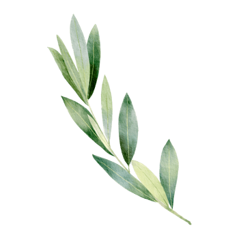 natural branch watercolor png