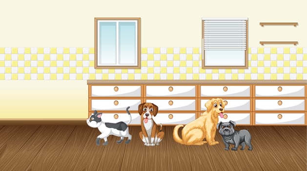 Set of different domestic animals in kitchen vector