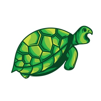 vector illustration, turtle animal, green