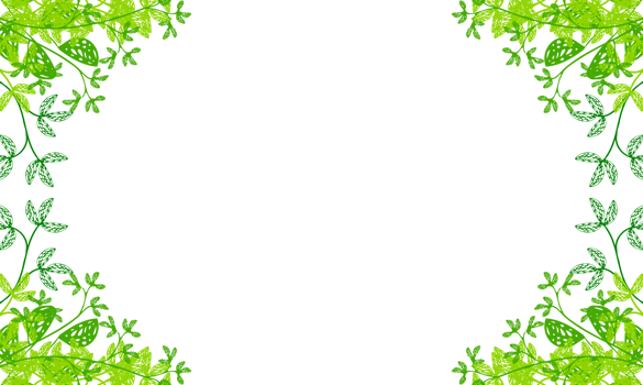 herbal frame transparent background png