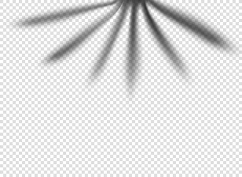 Palm leaf shadow isolated on transparent background. vector tempalte for design