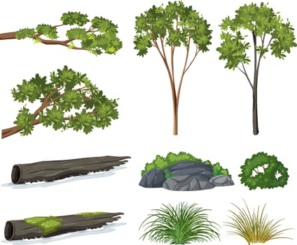 Isolated trees and nature objects set vector