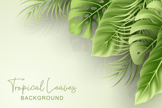 Summer background with realistic tropical leaves vector