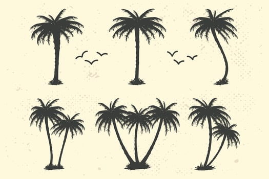 tropical palm tree vector silhouettes