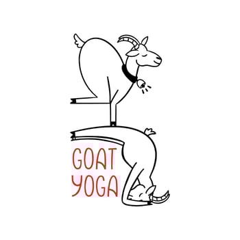 Goat yoga outline illustration. Modern fitness. Flat vector illustration of funny animal isolated on white background