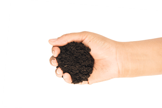 soil in hands , Hands dirty with clay black wheat in hands isolate background png