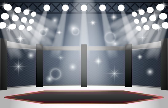 MMA Stage Arena Background vector