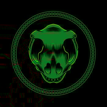 Illustration of an iguana skull and a symbol of darkness vector