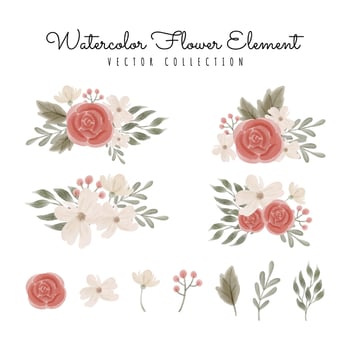 Water Flower bouquet and element vector illustration collection