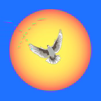 Pigeon against the sun and the dark blue sky vector