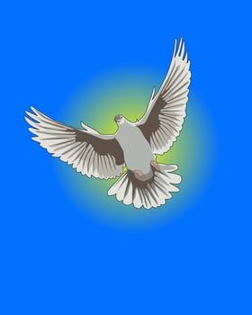 White pigeon against the sun and the dark blue sky vector